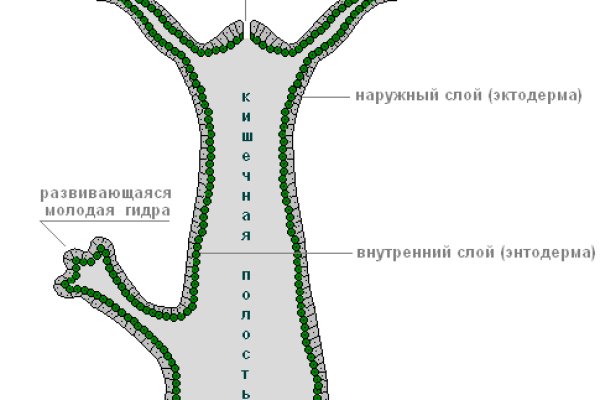 Почему не могу зайти на кракен