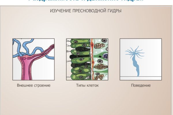 Кракен тор krakens13 at