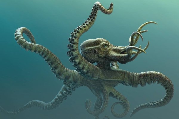 Kraken istand onion