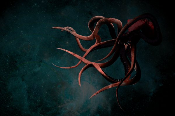 Kraken рабочее зеркало