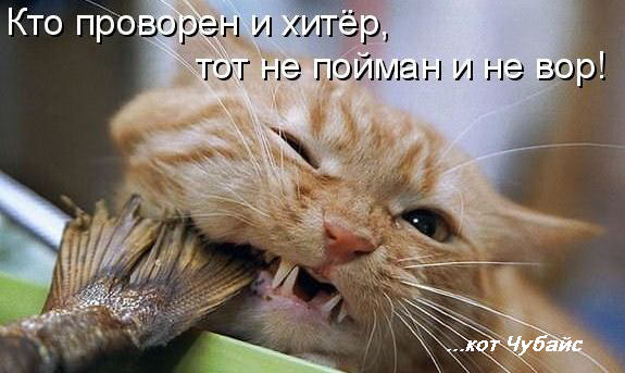 Кракен дарк оригинал ссылка
