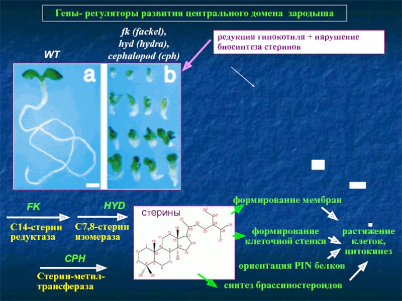 Кракен зеркало 2